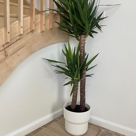 L Appartement Sete Magnifique Duplex Climatise 외부 사진