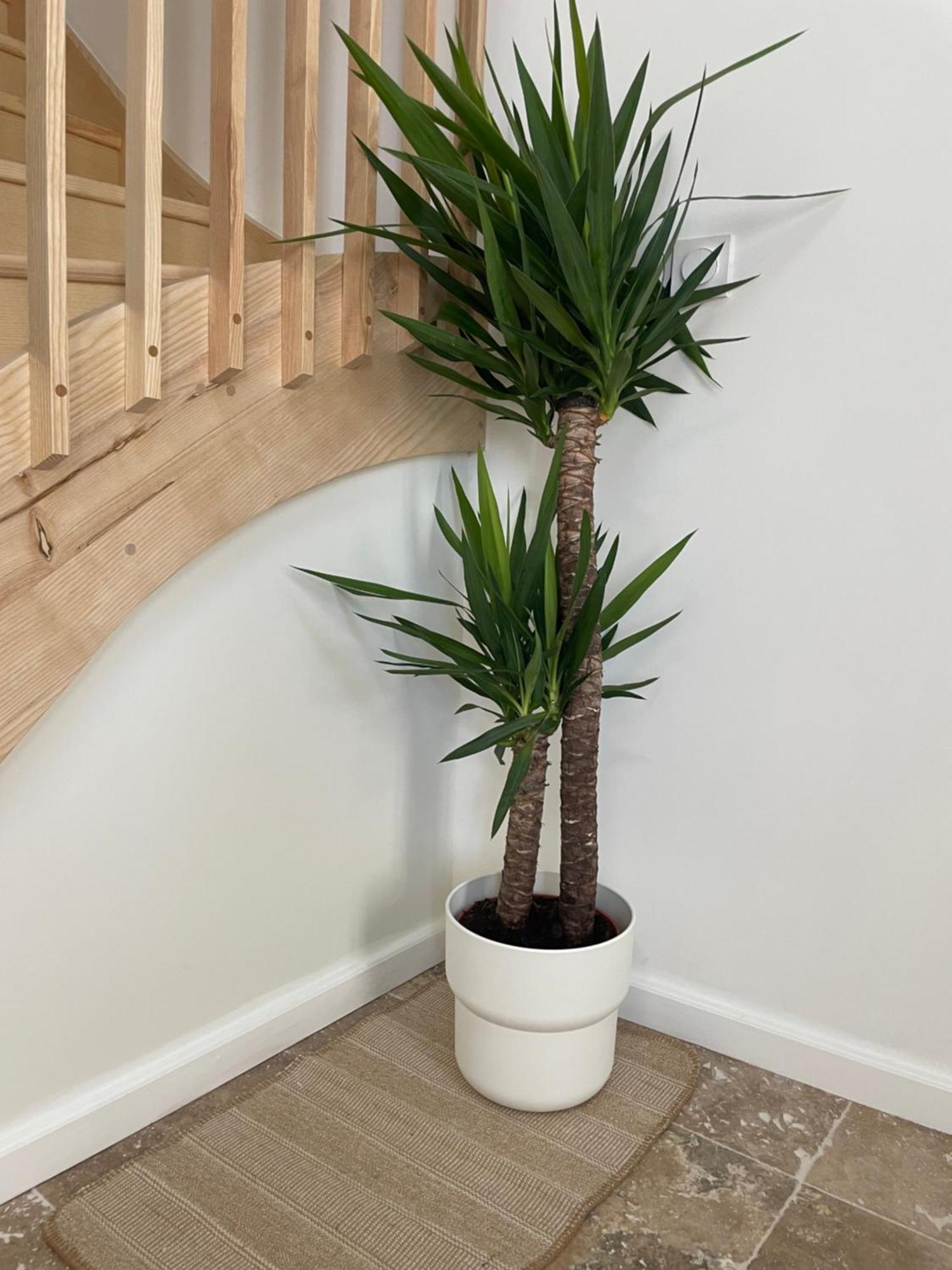 L Appartement Sete Magnifique Duplex Climatise 외부 사진